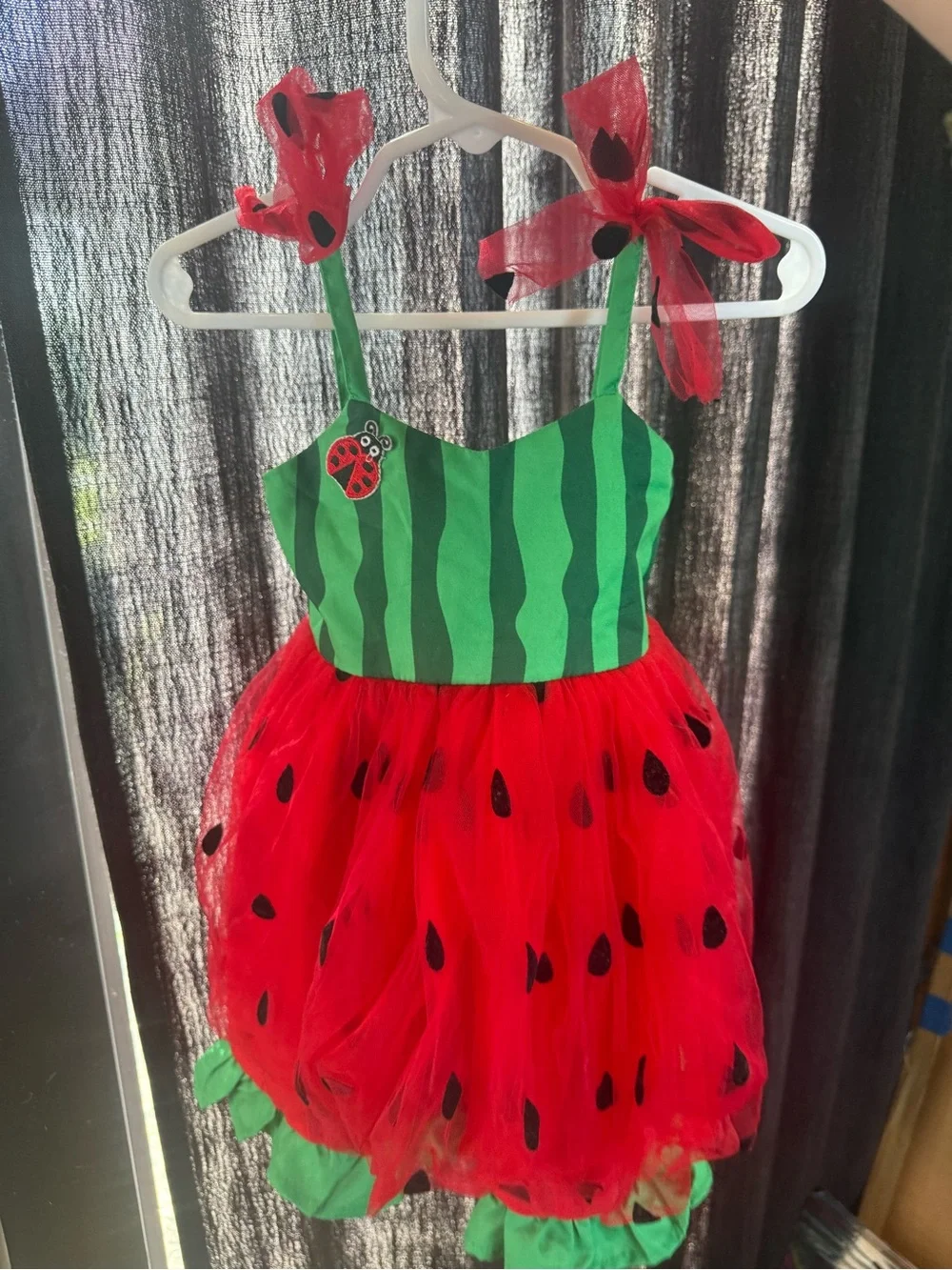 Girls Watermelon Ladybug Dress Costume - Green & Red